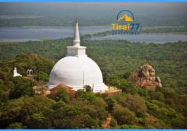 Menyusuri Keajaiban Anuradhapura: Destinasi Wisata untuk Backpacker di Sri Lanka