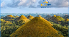 Destinasi Wisata Bohol, Filipina: Surga Tersembunyi untuk Backpackers