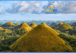 Destinasi Wisata Bohol, Filipina: Surga Tersembunyi untuk Backpackers