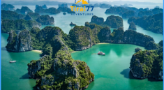 Halong Bay: Surga Tersembunyi yang Wajib Dikunjungi