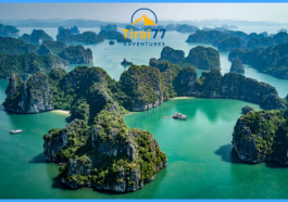 Halong Bay: Surga Tersembunyi yang Wajib Dikunjungi