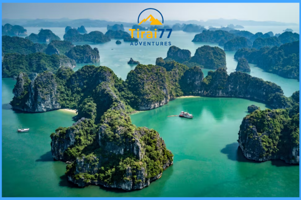 Halong Bay: Surga Tersembunyi yang Wajib Dikunjungi