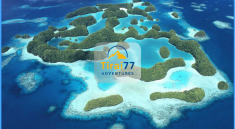Destinasi Wisata Palau, Mikronesia: Surga Tersembunyi Bagi Para Backpackers
